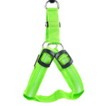 LED Dog Harness For Dog's Safety